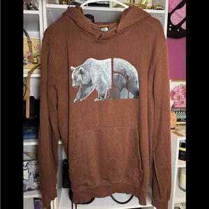 The North Face Brown Hoodie with Bear Graphic